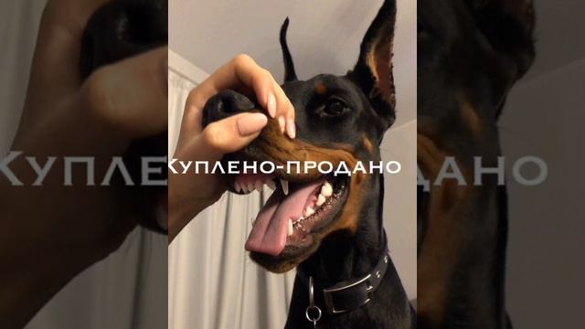 Топовые треки ❤️ смотреть онлайн