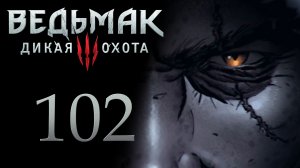 The Witcher 3 / Ведьмак 3 - Несвободный Новиград и Опасная игра ч.1 [#102] | PC (2017 г.)