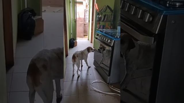 ты кто смотреть онлайн