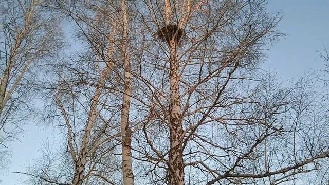 Делаю вылазку на природу.... смотреть онлайн