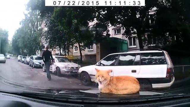 А нам все равно... смотреть онлайн