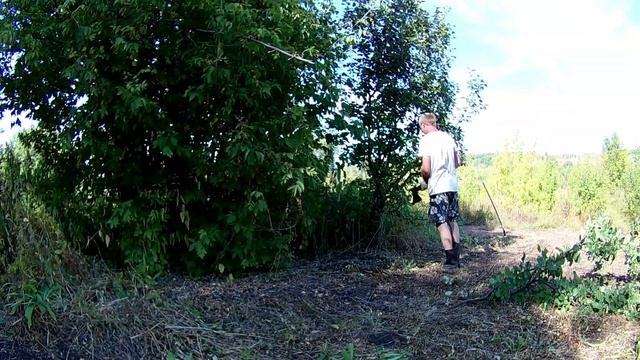 Урожай картофеля/Дачный туалет/Расширяю участок смотреть онлайн