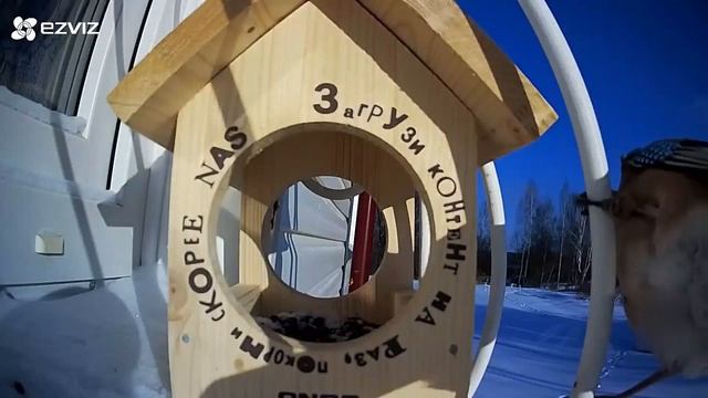 Ezviz C3S смотреть онлайн