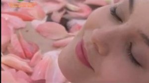 Бэйдайхэ - оздоровительный комплекс "Парадиз"