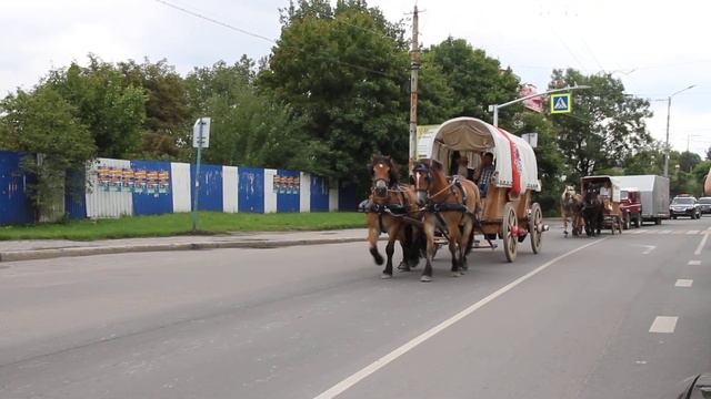Проезд обоза лошадей тяжеловозов. Калининград ул. Дзержинского. смотреть онлайн