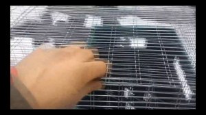 Клетка для кроликов полностью из сетки! Быстро Дешево Качественно! Cage for rabbits!