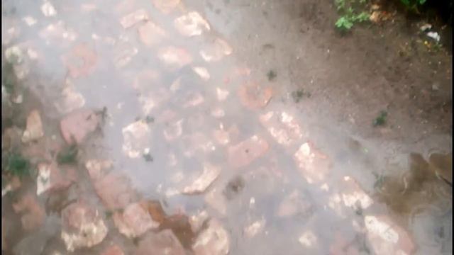 Что Делать Дома В Дождливый день, Концепция видео, Продуктивность, Игра престолов, Хлебушек // смотреть онлайн