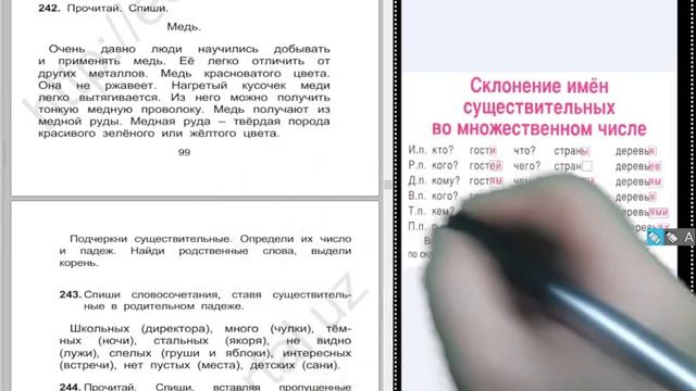 Определение падежей и склонений имён существительных среднего рода во множественном числе 3 класс Р смотреть онлайн