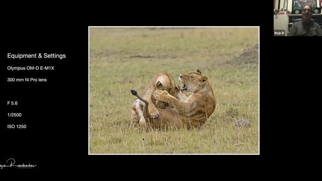 Ranjan Ramchandami - "On Safari with an Olympus Visionary" смотреть онлайн