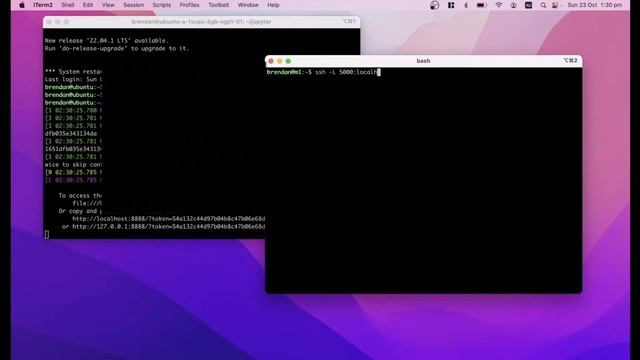 connecting to a remote Jupyter Notebook (port forwarding via ssh) смотреть онлайн