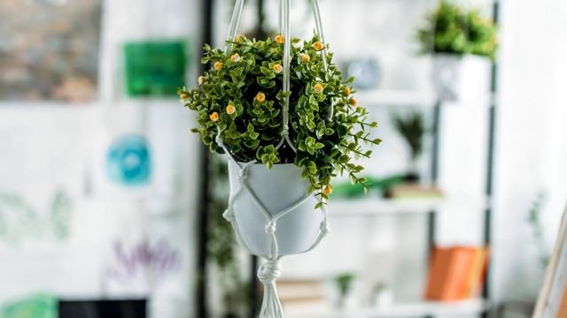 Марина поняла, что помощи ей ждать неоткуда и спрятавшись в нише около мусорной трубы, она… смотреть онлайн