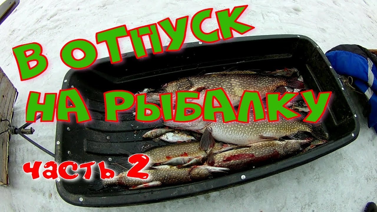 В ОТПУСК НА РЫБАЛКУ часть 2.mp4 смотреть онлайн