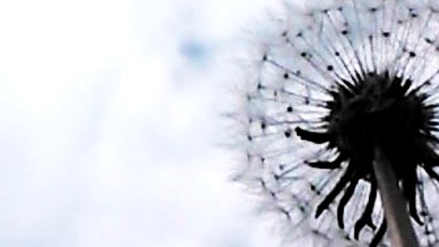 Teardrop - Massive Attack (ZEECOOL acoustic cover ver.) смотреть онлайн