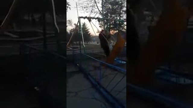 Ташкент кадышева смотреть онлайн