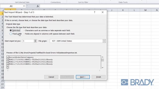 Fixing Excel Import Errors | Brady Workstation смотреть онлайн