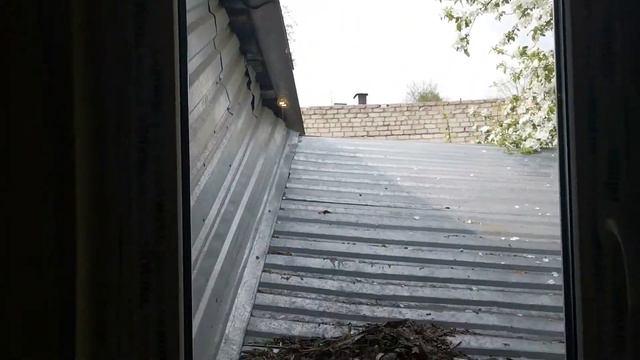 Из серии "Спасите ремонт" Прогулка по квартире... смотреть онлайн