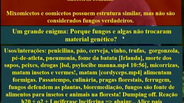 INTRODUCAO AO REINO DOS FUNGOS смотреть онлайн