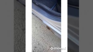 удаление ржавчины с помощью преобразователя фирмы Лавр