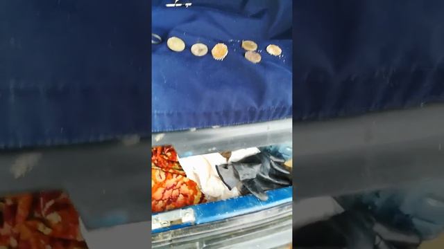 коп на пляже. смотреть онлайн