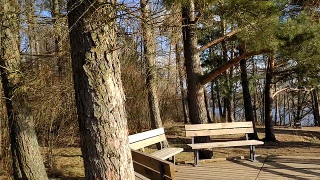 Kadagių slėnis, Kauno marių regioninis parkas, Kauno rajonas, Arlaviškės /Lietuvos gamta/ #vgumbaki смотреть онлайн