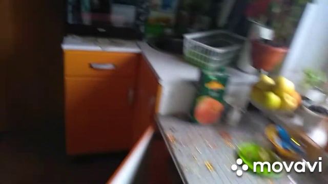 Новая астильба.Бегошка сестры.Пожарила котлеты.Морковь по корейски.Покупки фикса.Мои растюхи. смотреть онлайн