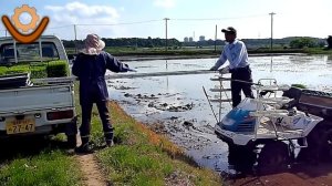 Как японцы выращивают рис