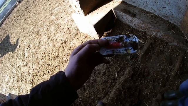 Определение охоты у коров с помощью детектора KAMAR смотреть онлайн