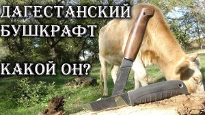 Бушкрафт в Дагестане. Сравниваем две Финки от ООО ПП Кизляр