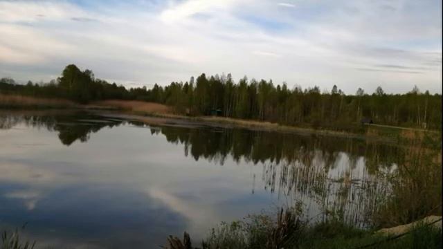 клип Здравствуй малая Родина стихи А. Полтев муз. К. Тихонов исп. П. Фомичёва смотреть онлайн