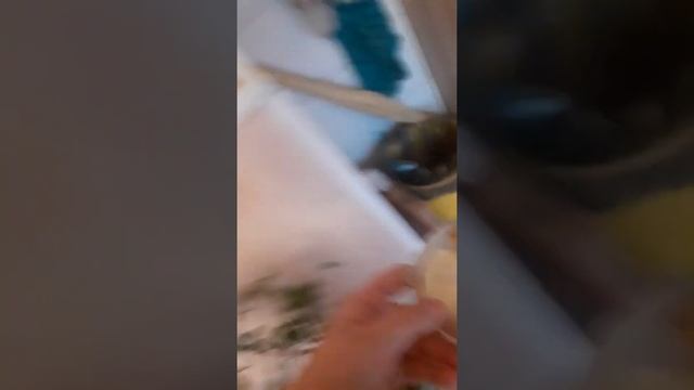 Генеральная уборка у новорождённых хомякам смотреть онлайн