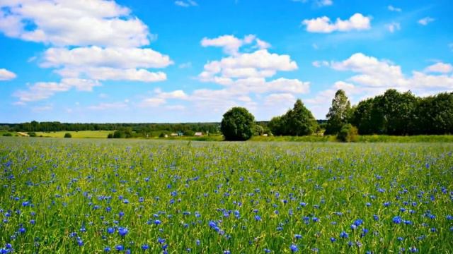 Манила свежестью река… Геннадий Городилов смотреть онлайн