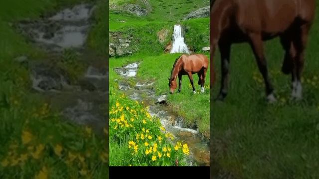 Сборная союза - Русских не победить смотреть онлайн