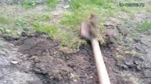 Как быстро избавиться от травы-дерна в саду, даче, огороде