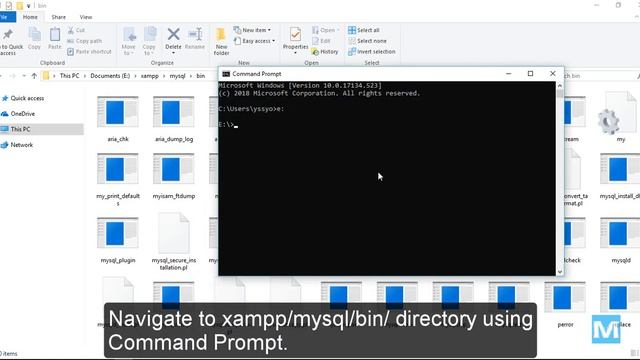 How to export MySQL database using Command Line смотреть онлайн