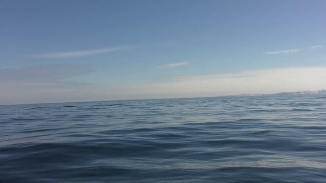 Рыбалка морская, полуостров Рыбачий! смотреть онлайн