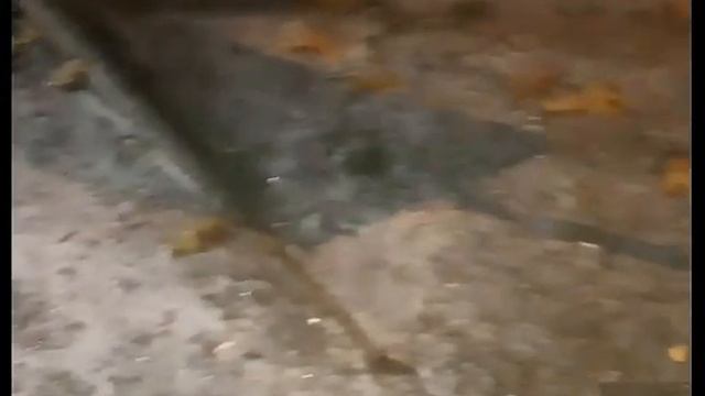 Первый зимний снегопад. Первый снежный покров в Москве 26 октября 2023 смотреть онлайн