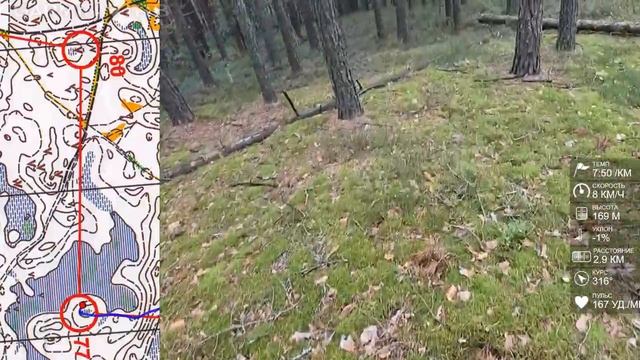 Спортивное ориентирование (headcam orienteering) - Кружева Брянского Леса, Алтухово - 28.07.2023 смотреть онлайн