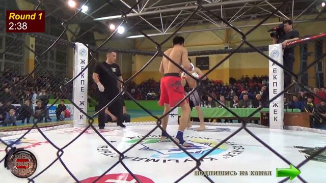 Кани Исламхан vs Думан Нуртлеуов #knockouts #TopMMA смотреть онлайн