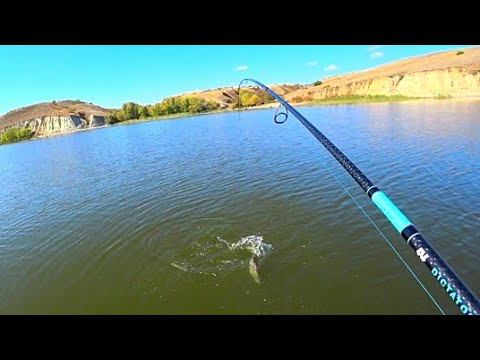 НАШËЛ ЛОГОВО ЭТОЙ РЫБЫ !!! ПОКЛËВКИ КАК УДАРЫ ТОКОМ! РЫБАЛКА смотреть онлайн