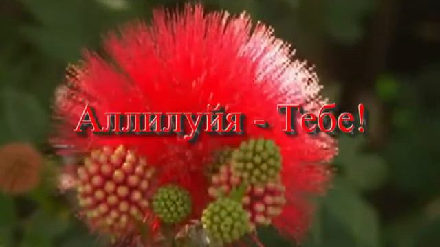 Чудный наш Бог # песня rus смотреть онлайн