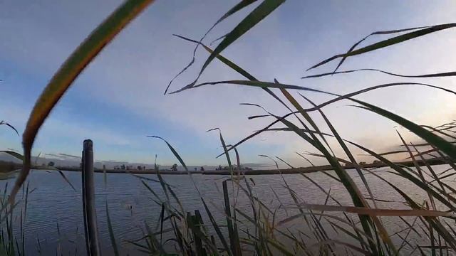 CRAZY Public Land Duck Hunting (NO DECOY CHALLENGE) смотреть онлайн