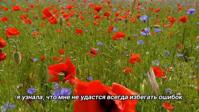 "Чувства вины". 22 июля. Сегодня-лучший путь. Ежедневник для созависимых. смотреть онлайн