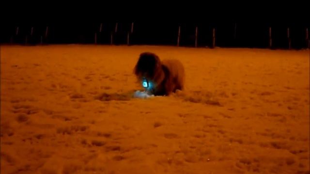 Бесилки на снегу.wmv смотреть онлайн