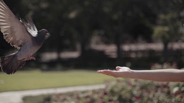 ОЙ ТАМ НА ГОРІ українська народна пісня смотреть онлайн