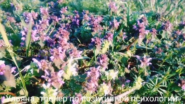 ВДОХ ВЕСНЫ. ИСЦЕЛЯЮЩИЙ МАРТОВСКИЙ АНТИСТРЕСС. смотреть онлайн