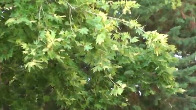 дорога с моря в отель-2 смотреть онлайн