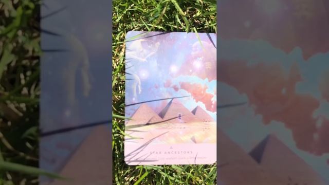 ***Pick a card*** ✨✨✨free oracle card reading. The sun. Star ancestors. смотреть онлайн