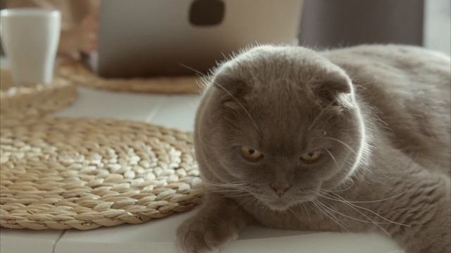 Как расслабиться за 5 минут? смотреть онлайн