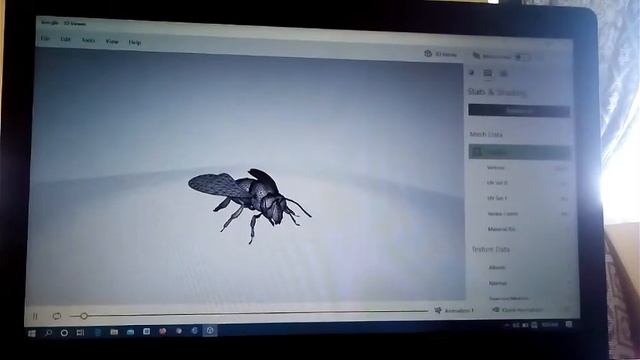 HW TO USE 3D VIEWER IN LAPTOP смотреть онлайн