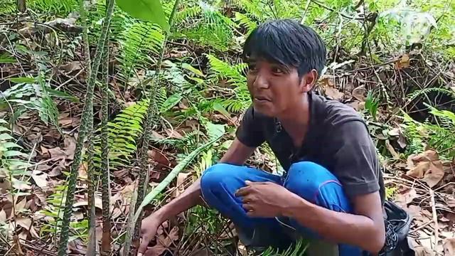 SURVIVAL DI HUTAN GAMBUT смотреть онлайн